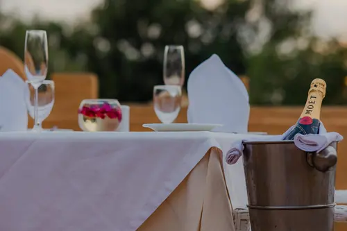 Ajit Bhawan Palace, Jodhpur - Other Facilities - Restaurant 22